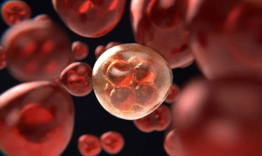 A Major Breakthrough in CANCER!